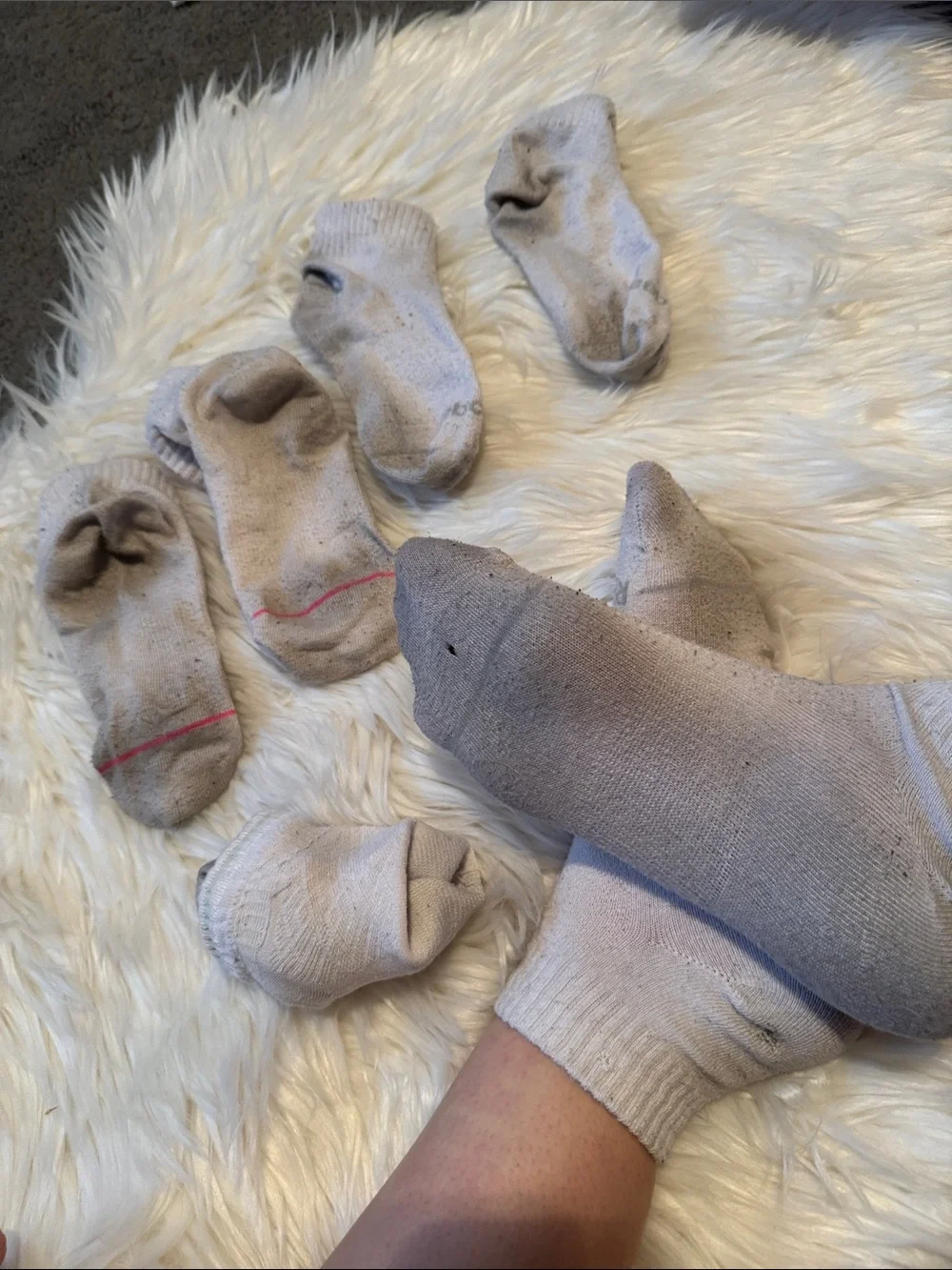 Used Low-Cut Athletic Socks - Light Gray (6 Pack)